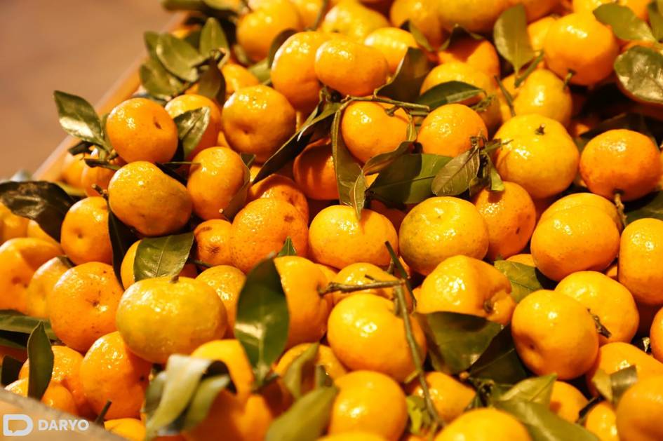 Mandarin va ananaslarni iste’mol qilish mumkin — O‘simliklar karantini agentligi